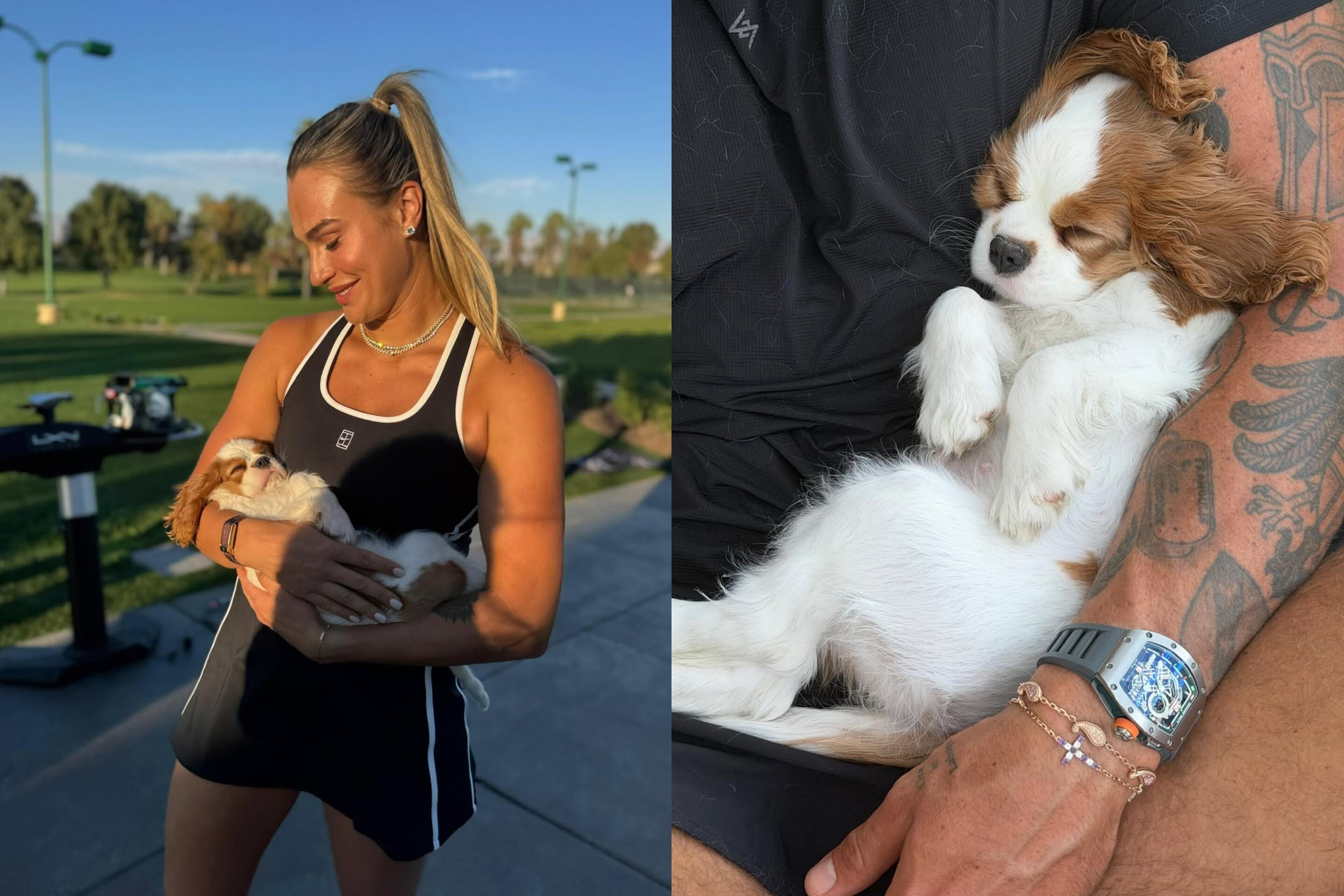 Aryna Sabalenka Welcomes a Puppy to Her Indian Wells Team